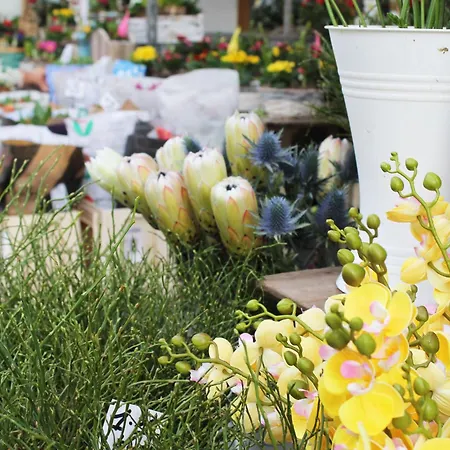 شقة Reoh I Maisonette Am I Malerischer Ausblick I Beamer I Berlin In 30min *