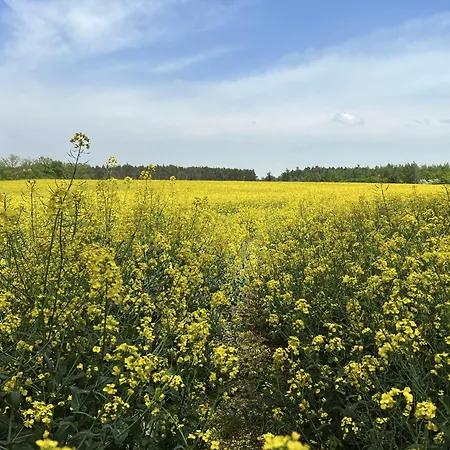 شقة Reoh I Maisonette Am I Malerischer Ausblick I Beamer I Berlin In 30min *