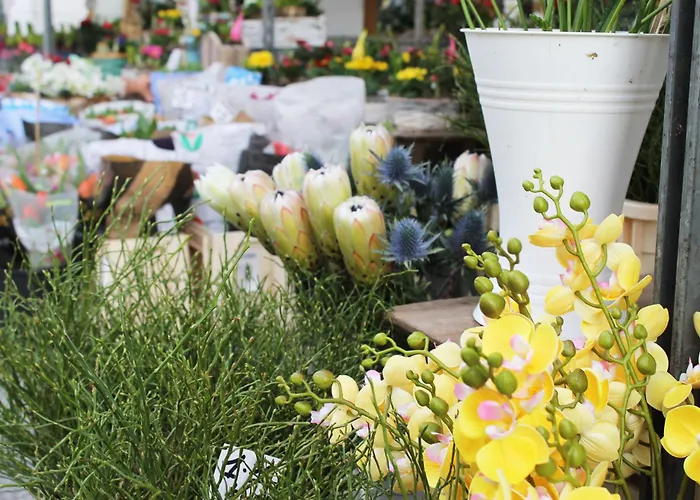 Lejlighed Reoh I Maisonette Am I Malerischer Ausblick I Beamer I Berlin In 30min *