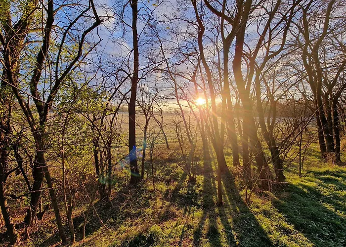 Reoh I Maisonette Am I Malerischer Ausblick I Beamer I Berlin In 30min *