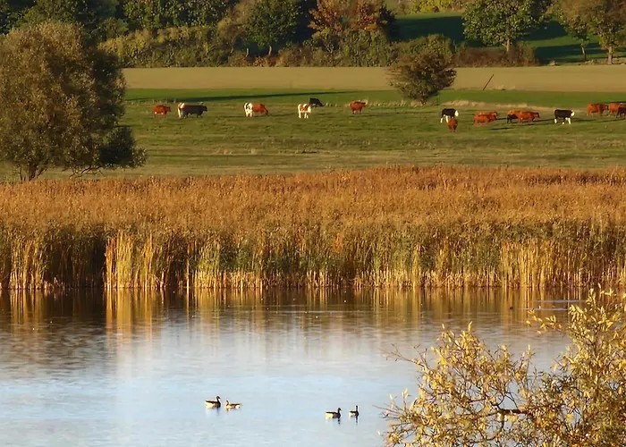 Reoh I Maisonette Am I Malerischer Ausblick I Beamer I Berlin In 30min *