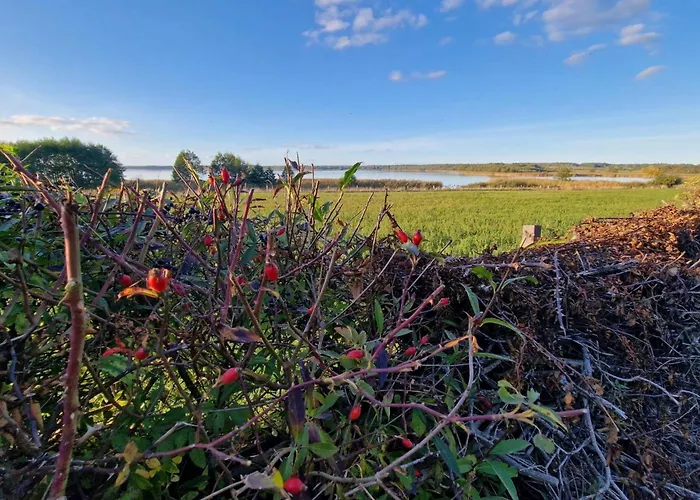 Lejlighed Reoh I Maisonette Am I Malerischer Ausblick I Beamer I Berlin In 30min Strausberg